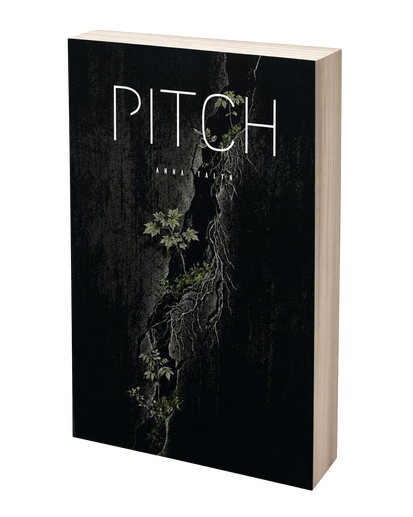 Pitch Book 1 Pitch Book 1